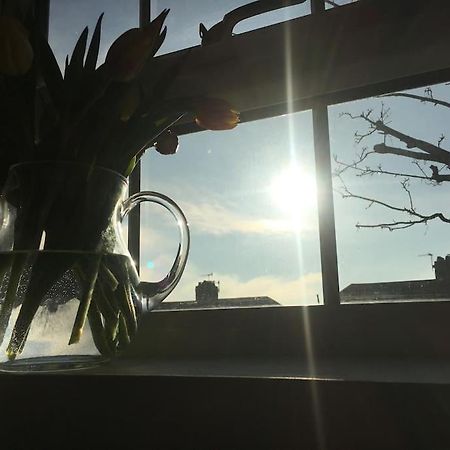 Brighton Boutique Garden Studio With Free Parking Экстерьер фото
